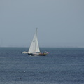 DSC04111