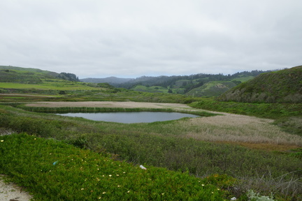 DSC04115