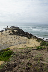 DSC04130