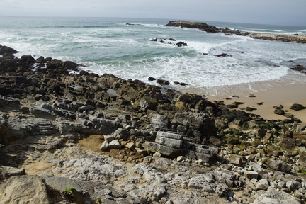 DSC04134