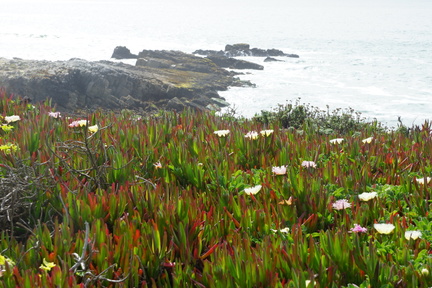 DSC04140
