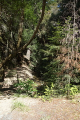 DSC04204
