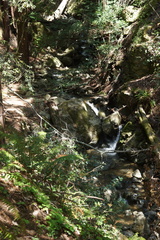 DSC04207