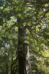 DSC04208