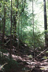 DSC04210