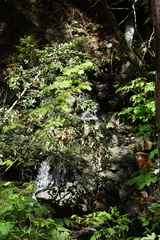 DSC04211