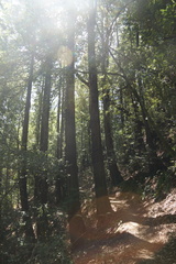 DSC04213