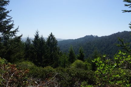 DSC04214