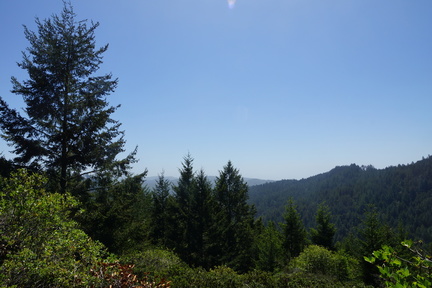 DSC04215