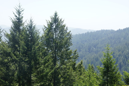 DSC04216
