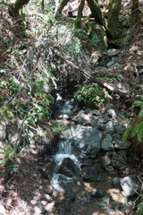 DSC04217