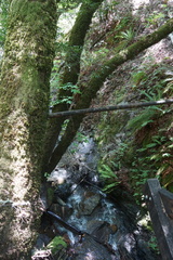 DSC04218