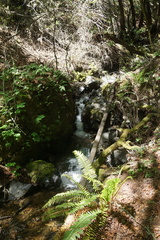 DSC04221