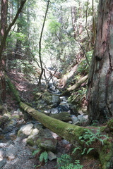 DSC04222