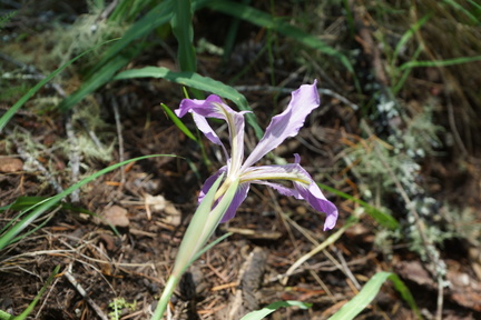 DSC04229