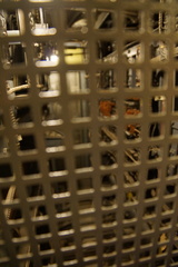 DSC03630