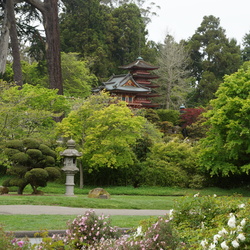 California 2014 - Japanese Tea Garden