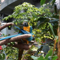 DSC03828
