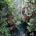 DSC03829
