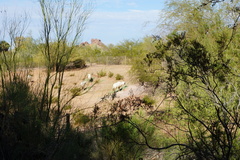 DSC03081