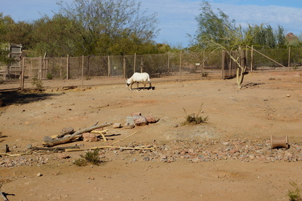DSC03087