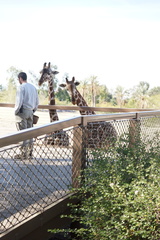 DSC03096