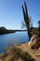 DSC03004
