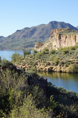 DSC03013