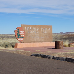 Petrified Forest NP - AZ Jan 2014