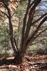 DSC02804