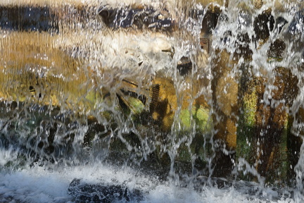 DSC02753