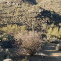 DSC05947