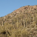 DSC05949