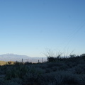 DSC05952