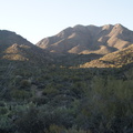 DSC05953