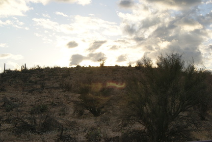 DSC05454