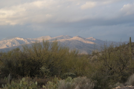 DSC05461