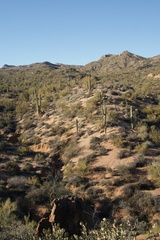 DSC05901