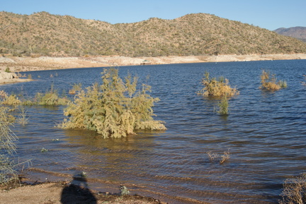 DSC05911