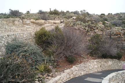 DSC05617
