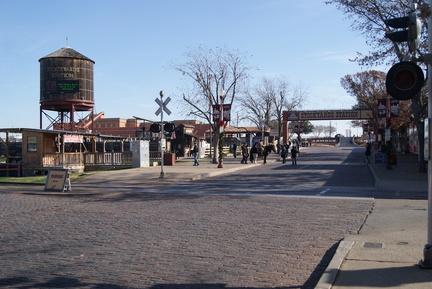 DSC05575