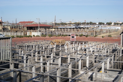 DSC05580