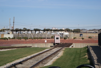 DSC05581