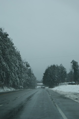 DSC05492