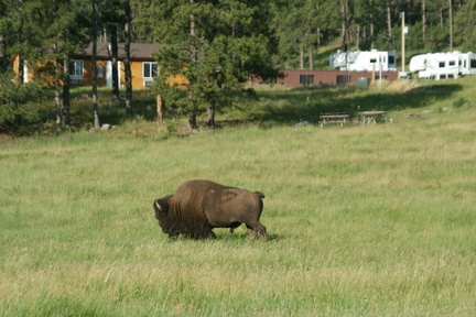 DSC02399.ARW