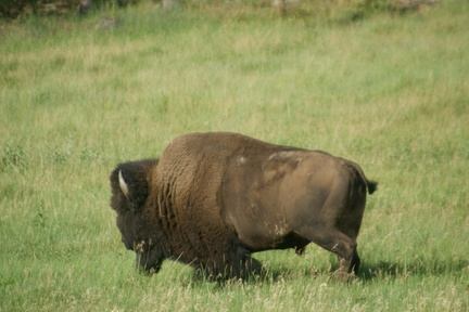 DSC02400.ARW