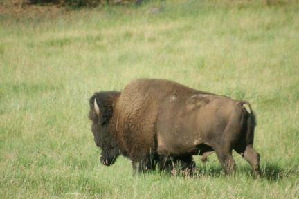 DSC02401.ARW