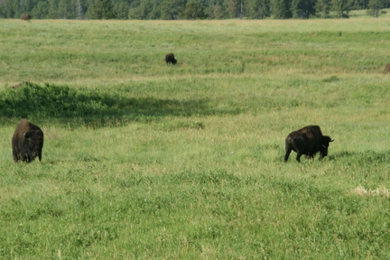 DSC02403.ARW
