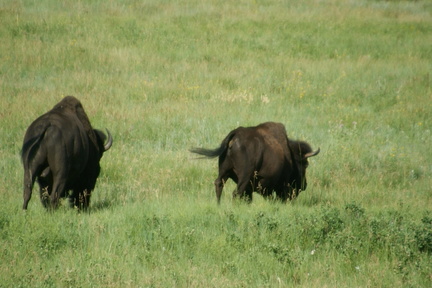 DSC02405.ARW