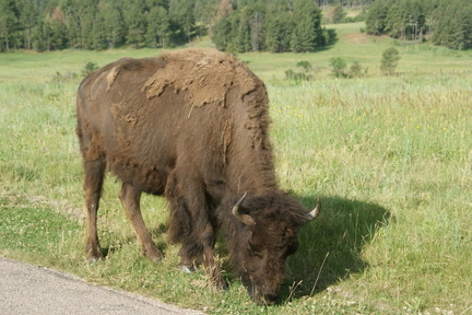 DSC02410.ARW